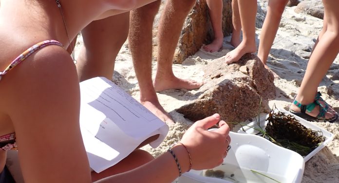 Proctor’s Ocean Classroom Celebrates 30 Years 