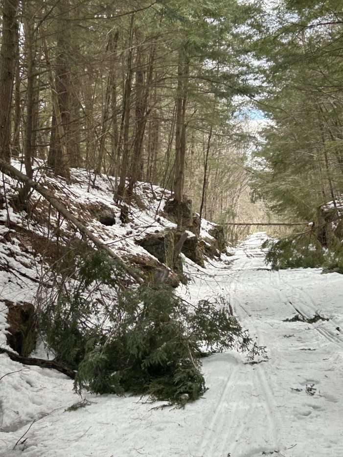 FNRT Volunteers Open Trails after Downed Trees 