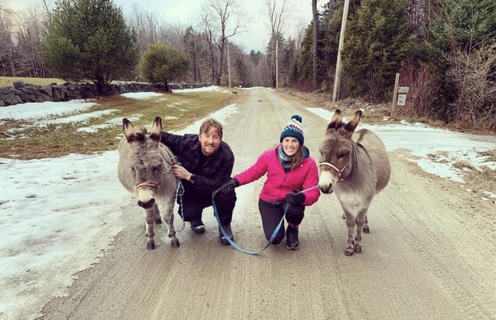 Wilmot Animal Sanctuary Offers a Loving Home to Select Animals