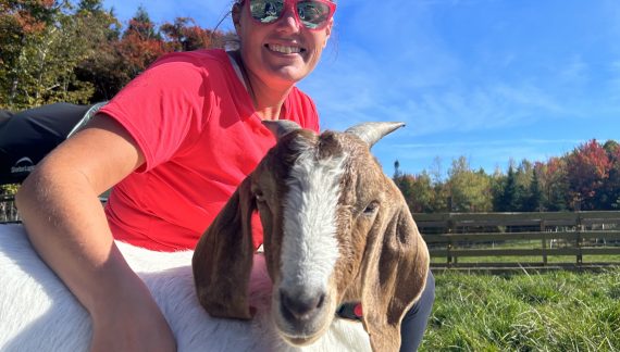 Wilmot Animal Sanctuary Rescues Abandoned Goat