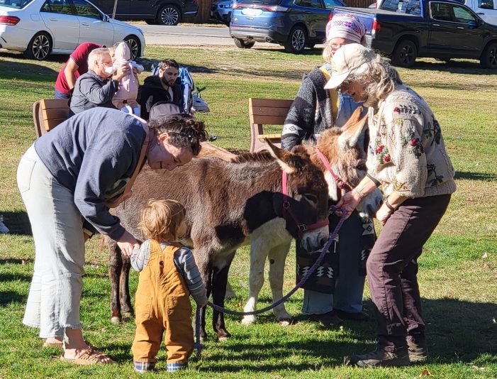 Donkeys to Donuts Festival Features Live Donkeys!