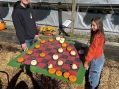 Father-Daughter Team Plays Pumpkin Checkers