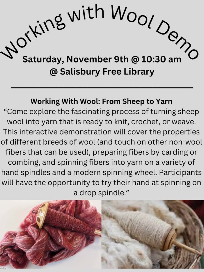 Working with Wool Demo