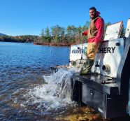 Fish & Game Stocks Highland Lake with Brook Trout