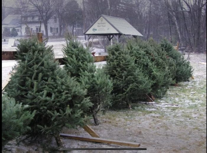 Fire Department’s Annual Christmas Tree Sale