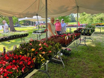 Wilmot Garden Club Hosts Plant Sale